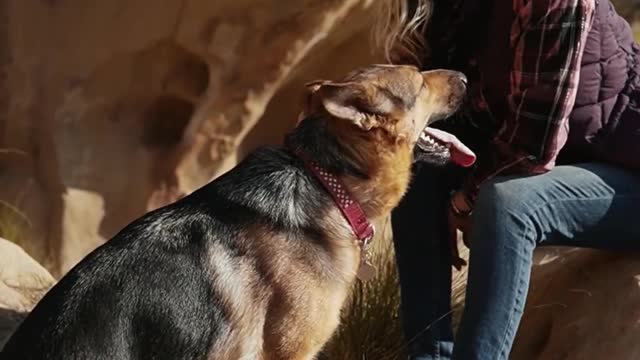 Funny dogs 🐕 love ❤️ with women 🥰 videos