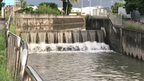 21_0811霧峰 五福溪北里公園