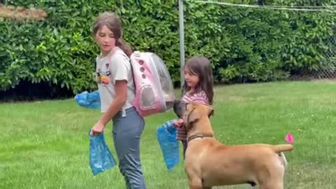 Granddaughters cleaning the yard with help (Backpack especially)