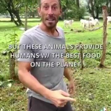 ⚠️LA CARNE NON CAUSA IL CAMBIAMENTO CLIMATICO: ..