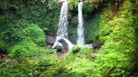 RELAXING LANDSCAPES