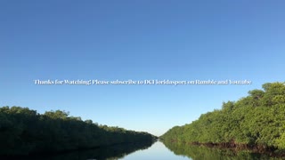 Scenery from Cross Bayou Barge Canal with a visit from a few locals