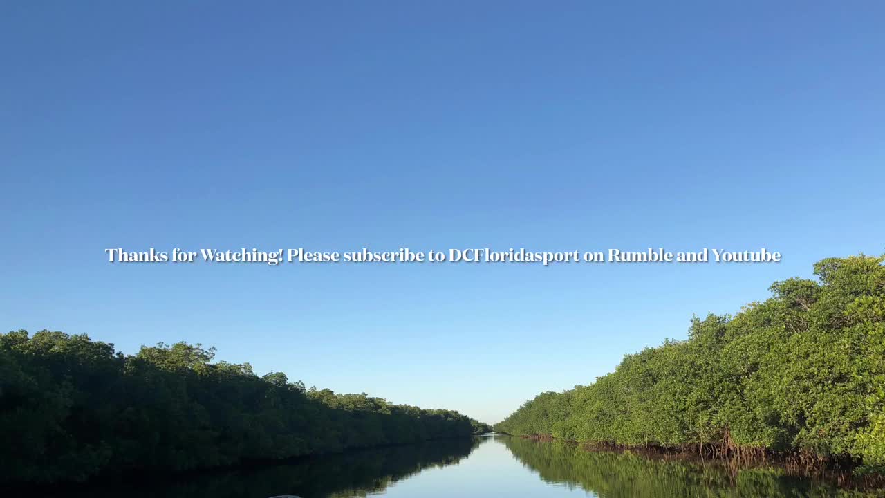 Scenery from Cross Bayou Barge Canal with a visit from a few locals