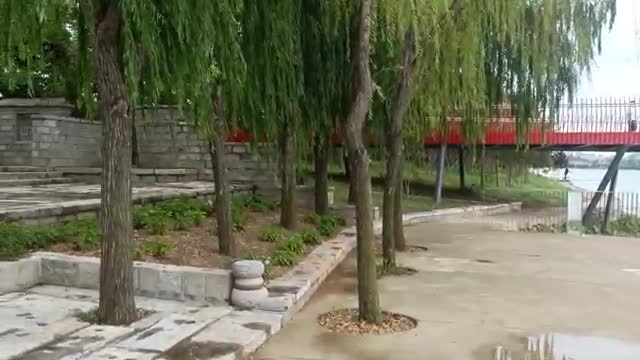 Is the red one a Diaoyutai?