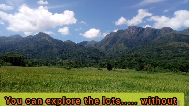 Nature of the nature