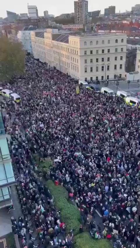 Over 1 Million People Gathered in London on Saturday to Protest Israel’s Genocide