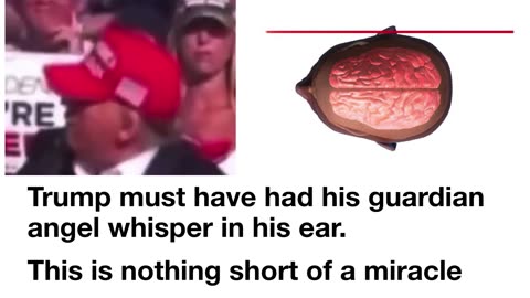 This is nothing short of a miracle!