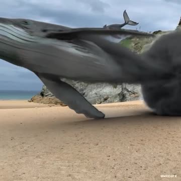 Project Blue Beam - NO ALIENS! NO UFOs!