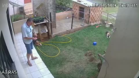 Homem explode pátio tentando matar baratas