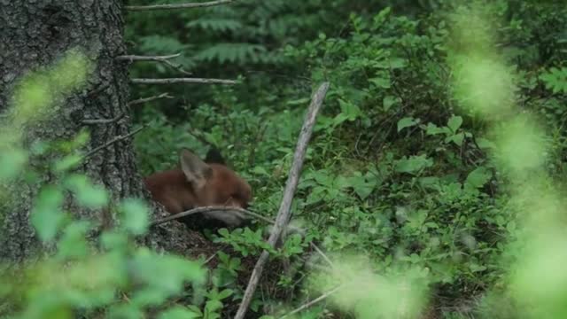 Get up close and personal with the animals