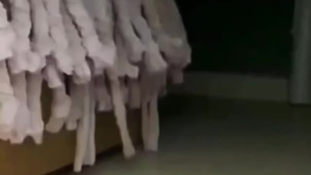 7.My favorite cat 😘