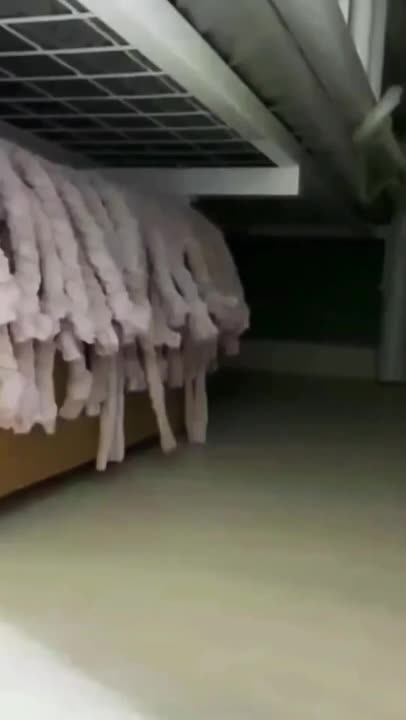 7.My favorite cat 😘