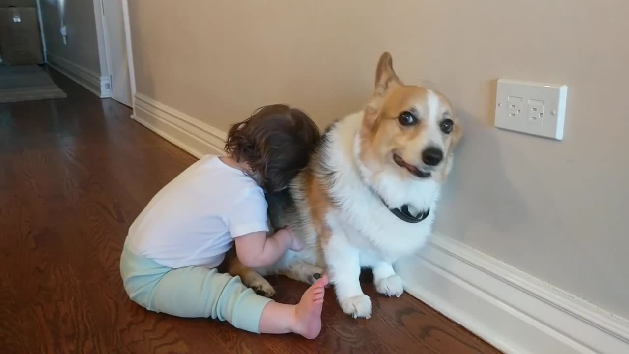 Baby Feeling love with dog