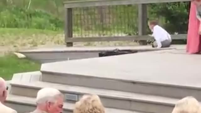 Children add a little comedy to a wedding! Ring bearer failure that comedy my god