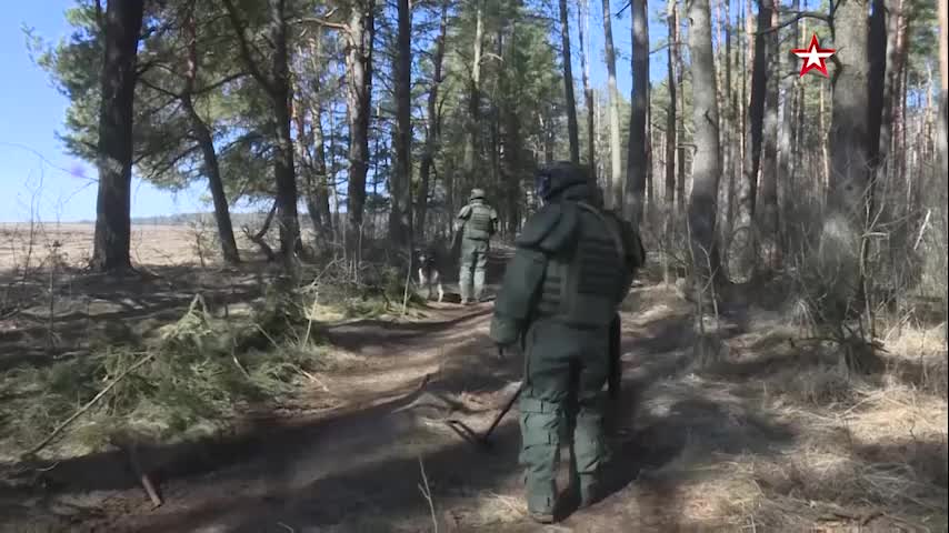 Ukraine War - Russian sappers are clearing mines