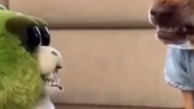 Funny Dog Challenging a Toy Monkey