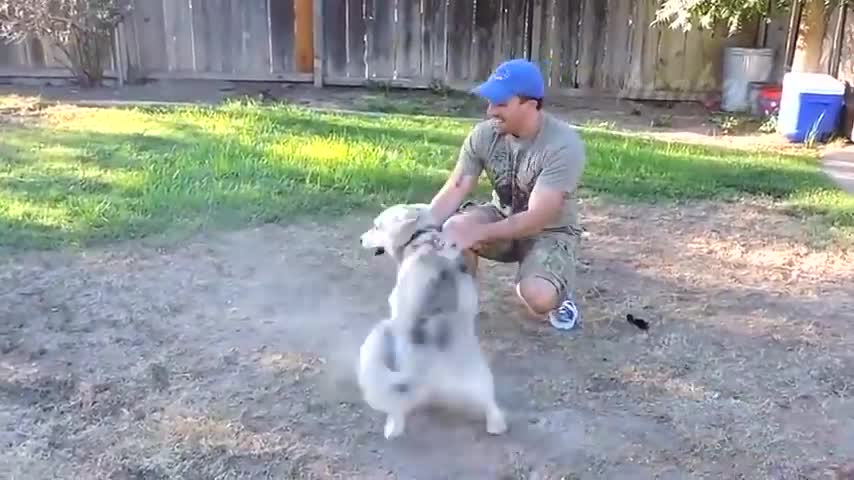 ANIMALS REUNITED WITH THEIR OWNERS AFTER YEARS!