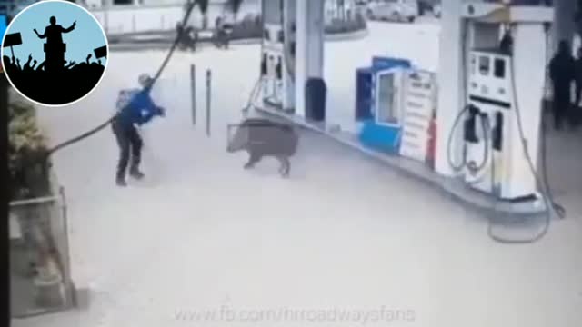 Boar atteck on a petrol pump after raising price