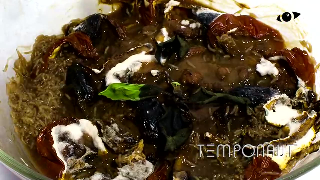 Salad Bowl Timelapse