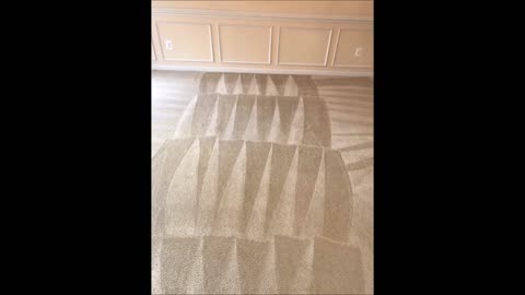 Hector Carpet Cleaning, LLC - (703) 420-4010