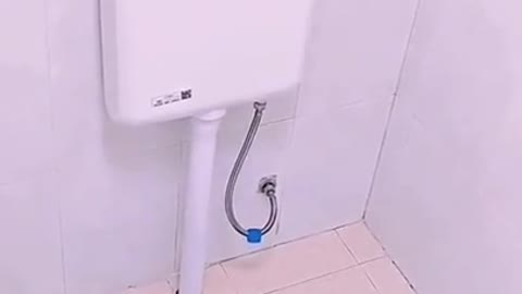 #funny Cats and dogs _ cats meowing _ cats funny videos #shorts