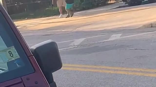 Violence against Whites 33