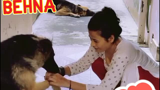 वफादार एनिमल भाई का फर्ज निभाना