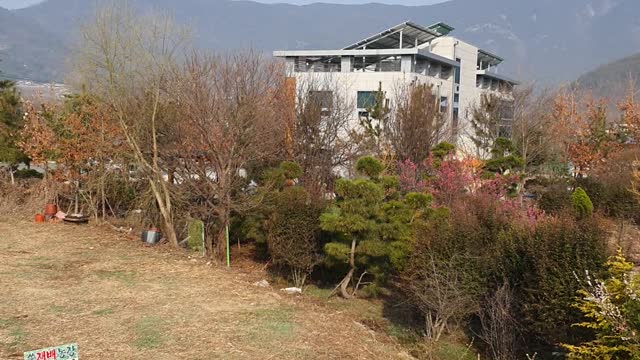 A panoramic view of Korean rural houses