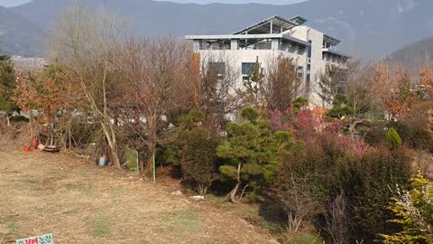 A panoramic view of Korean rural houses