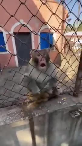 Well, I gave it here quickly!