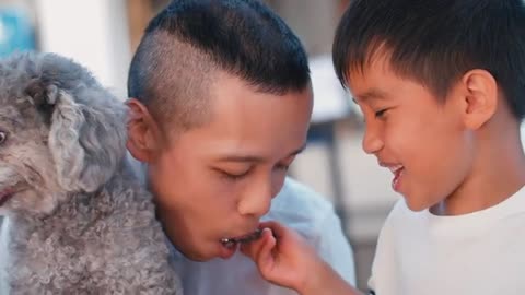 Cute Boy Feeding His Dad with Ice Cream