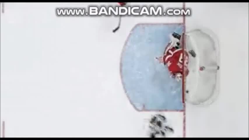 NHL goalie scores incredible own goal