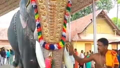 Ambalapuzha Vijayakrishnan . .