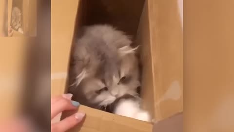 I want to get out of the box