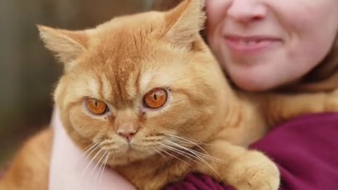 Hi I 👋 want the first thing we want