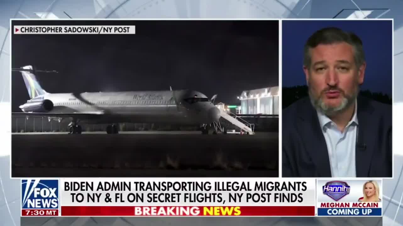 Ted Cruz on the bill he has introduced as Biden is flying illegal immigrants across the country