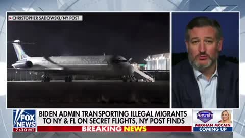 Ted Cruz on the bill he has introduced as Biden is flying illegal immigrants across the country