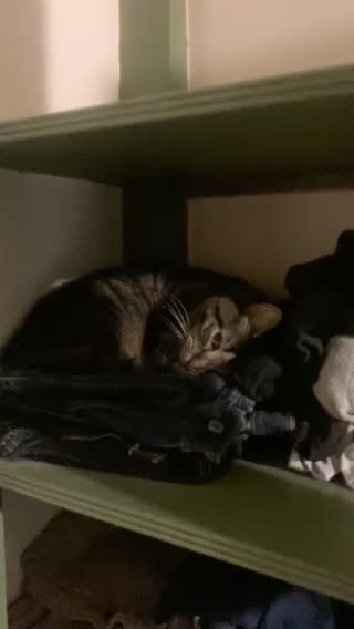 Is someone a bit sleepy?