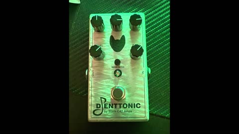 BLACK CAT AMPS - DJENTTONIC