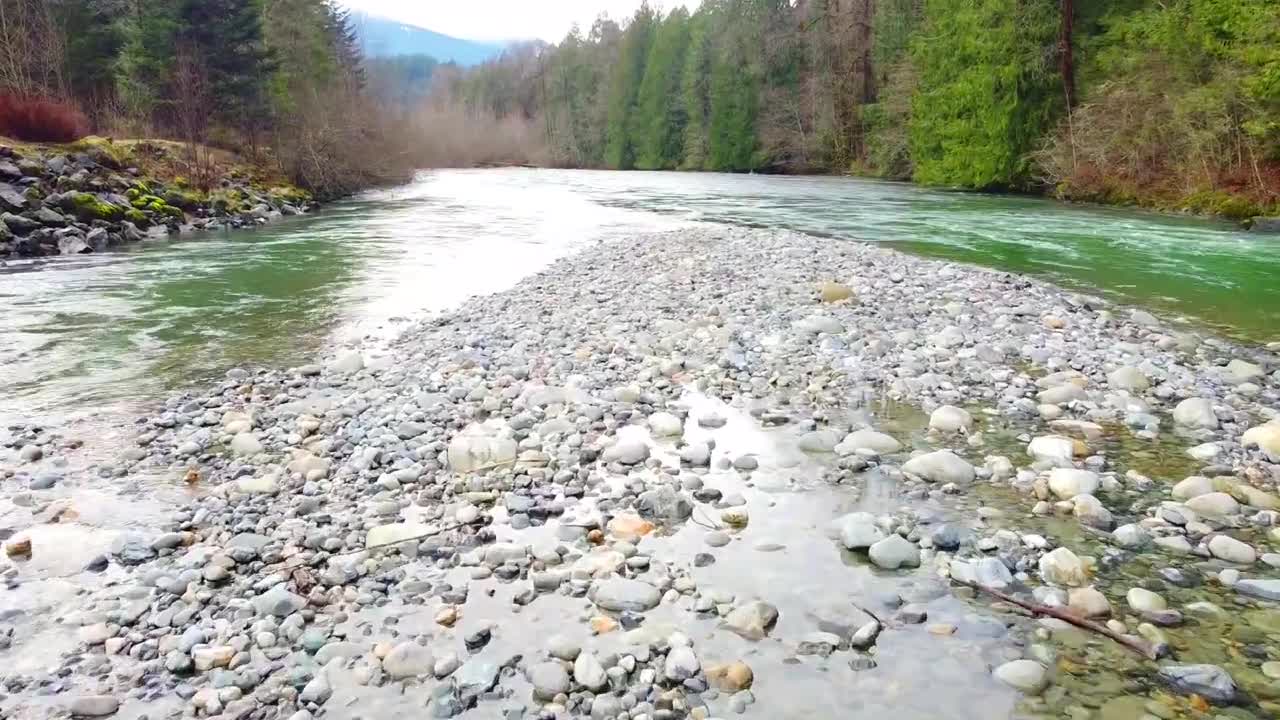 Mavic Mini Vedder river Chilliwack