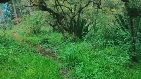 The power of a relaxing experience in the natures beauty