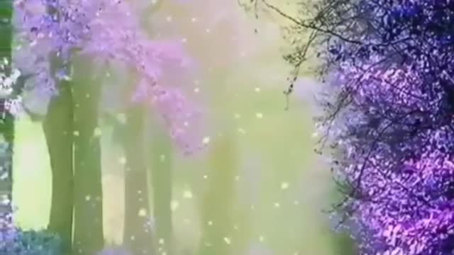 Nature 🌲 Beautiful ❤️ short video