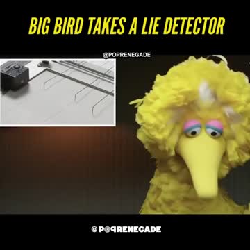 Covid dystopia: Big Bird takes a lie detector test