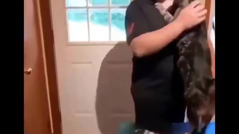 Funny cat video 🐈😺