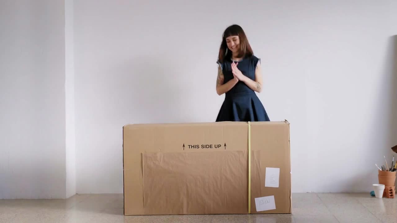 A young woman and her pet basenji dog receive a huge shipment cardboard parcel and are excited