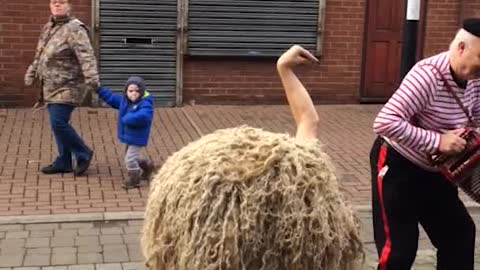 The Ostrich at Junction Goole