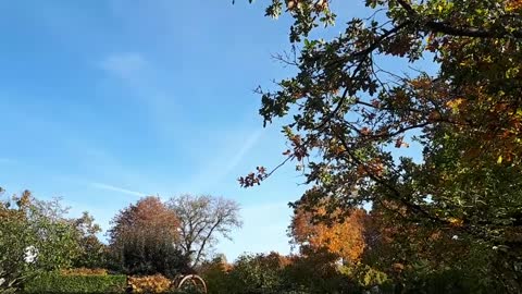 Himmel in Berlin am 17.10.2022 um 11:50 Uhr