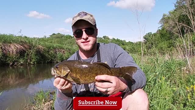 BIG Topwater Bass