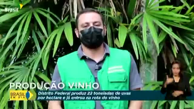 Bolsonaro: Produção de Vinhos no Brasil