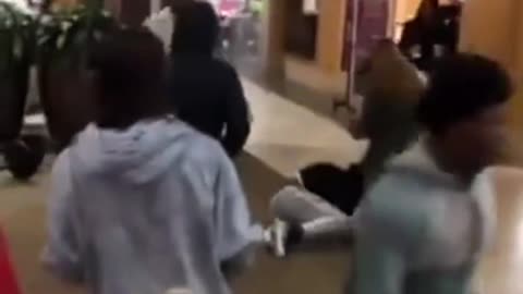 Animals fighting.
